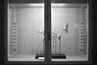 la specola 8-2017 1417